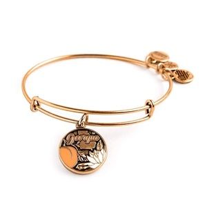 Alex and Ani Bracelet